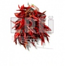 chili-paprika-cht-maly-venec_1321965668.jpg