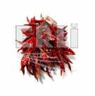 chili-paprika-cht-maly-venec_1354009259.jpg